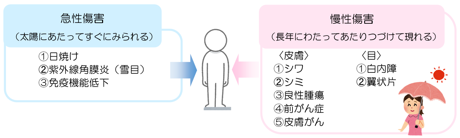 紫外線対策について 健康トピックス 新着情報 新潟ウェルネス