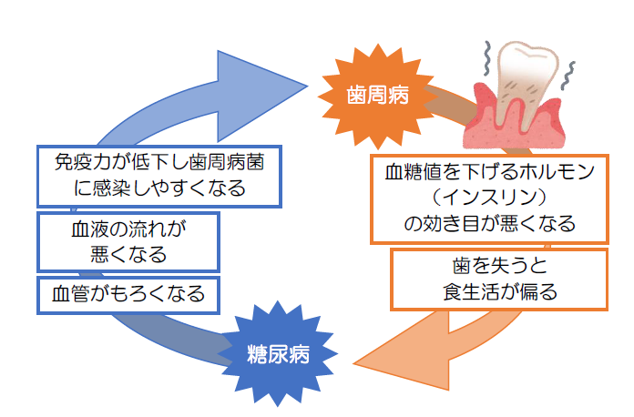 糖尿病と歯周病の関係｜健康トピックス｜新着情報｜新潟ウェルネス